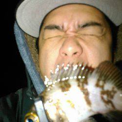 茶メバと黒メバ